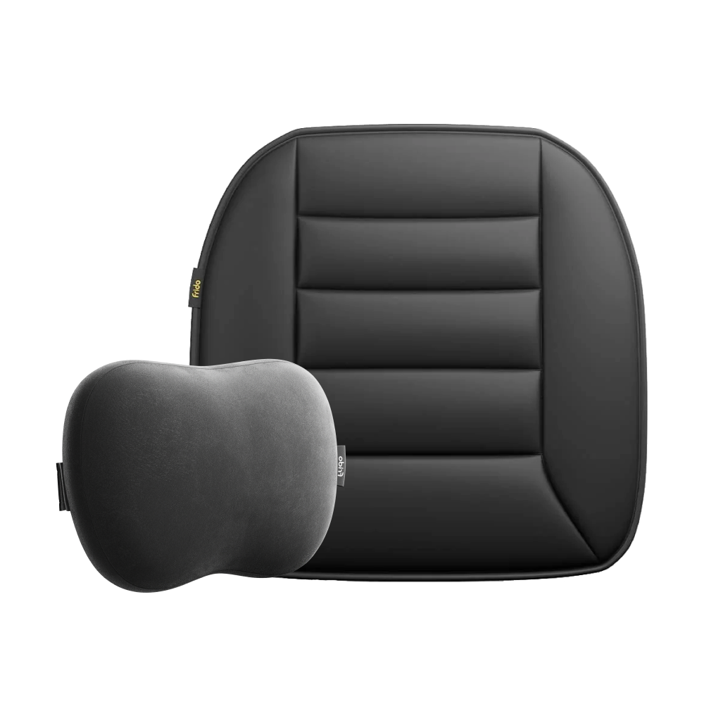 Seat cushion combo